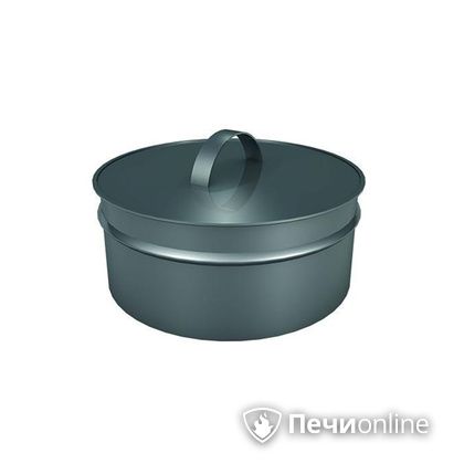 Заглушки Теплов и Сухов Заглушка ревизии Термо-Р 304 0.5 D300(200) в Балашихе